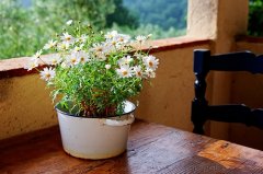 费力不讨好的朋友圈怎么发(42句)