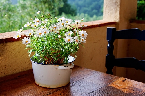 费力不讨好的朋友圈怎么发(42句)