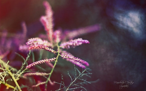 感慨逝去的青春的句子(46句)