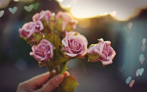 姐妹情深的经典句子(精选68句)