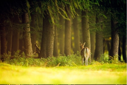 对明天充满正能量的句子(49句)