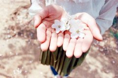 一个治愈的高级昵称(精选65个)