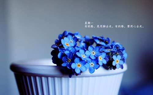 带有高的网名大全(精选64个)