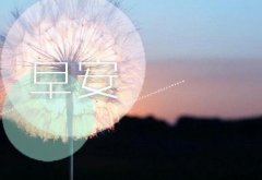 早上吸引朋友圈的句子(精选58句)