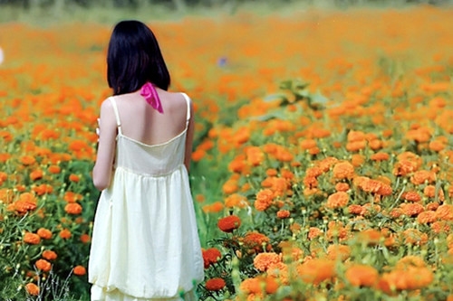 朋友圈晒花的心情短语(48句)