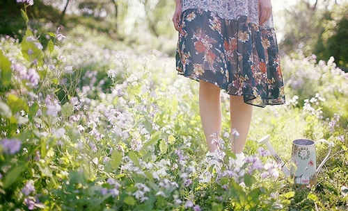 抖音里喝酒最火的一段话(70句)