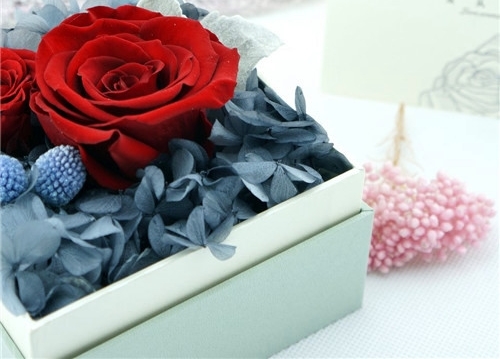 祝愿孩子阳光成长的话(精选51句)