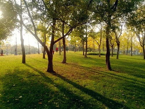 失望无所谓的说说心情(38句)