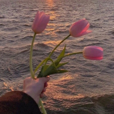 适合永久做头像的图片(精选10张)