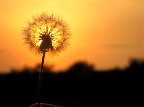 刮大风适合发朋友圈的句子(35句)