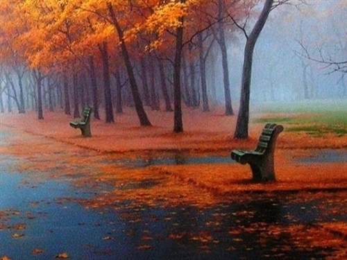 晒秋天美景的心情短语(精选53句)