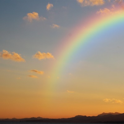 让人一看就想加的头像(精选12张)