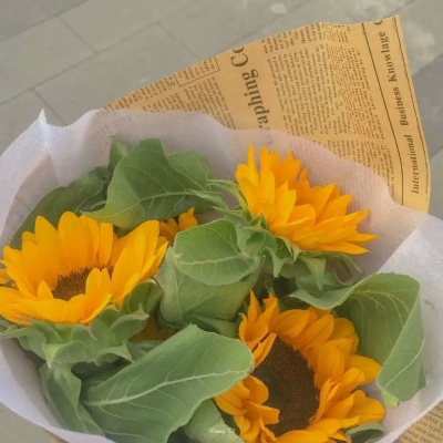 最近抖音上很火的头像(精选12张)