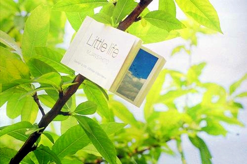 好听又可爱的仙女昵称11岁女孩