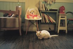 隔离期间暖心的句子(精选45句)