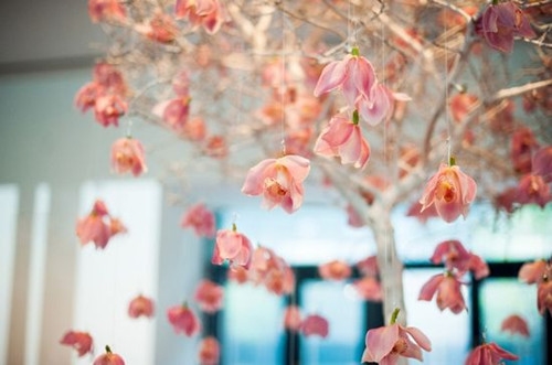 把自己沉淀下来的句子(精选39句)