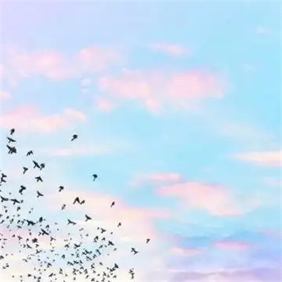 让人一看就很舒服的头像(精选10张)