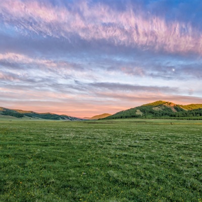 让人一看就很舒服的头像(精选10张)