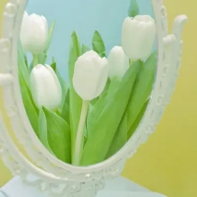 让人一看就很舒服的头像(精选10张)