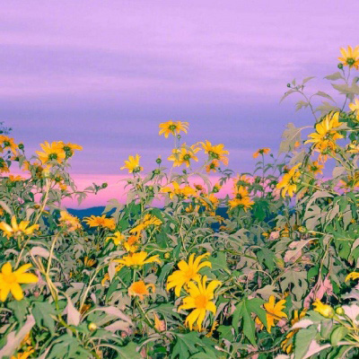 让人一看就很舒服的头像(精选10张)