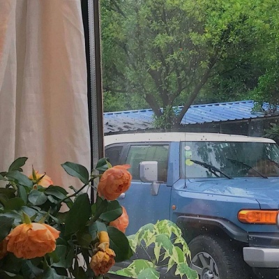 时来运转女人的微信头像(精选11张)