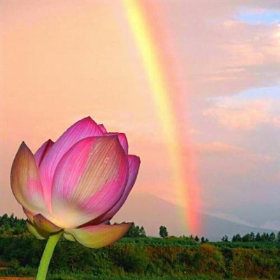 适合40岁以上父母用的头像(精选12张)