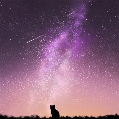 一生好运的抖音头像(精选10张)