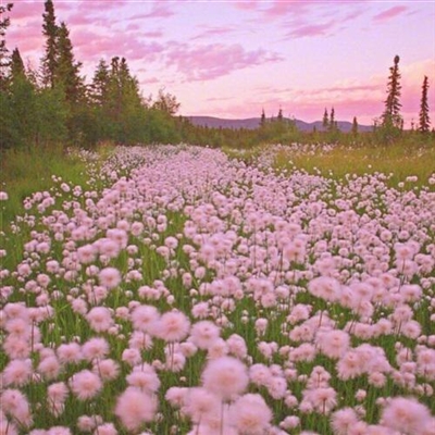 一生好运的抖音头像(精选10张)