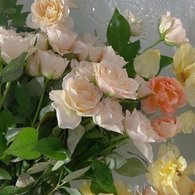 45岁头像女成熟稳重(精选14张)