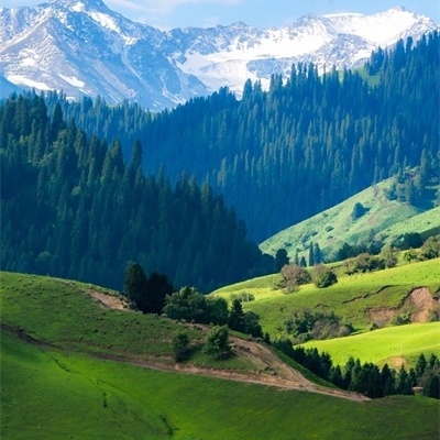 45岁头像女成熟稳重(精选14张)