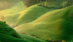 第一眼就心动的文案句子短句(51句)