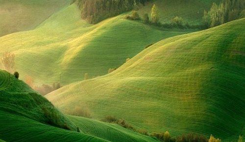 第一眼就心动的文案句子短句(51句)