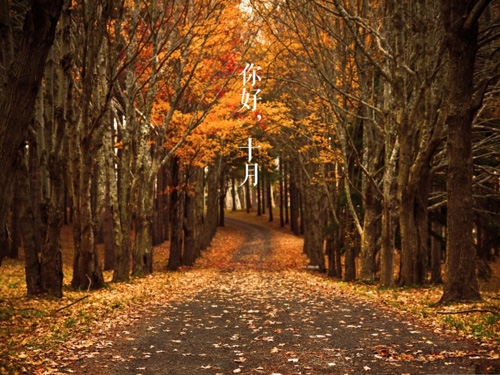 关于秋天的文案短句干净治愈(精选43句)