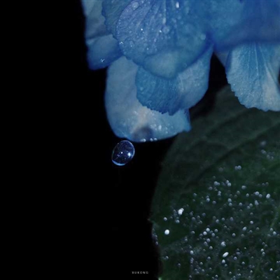 小众又高格调的头像(精选12张)