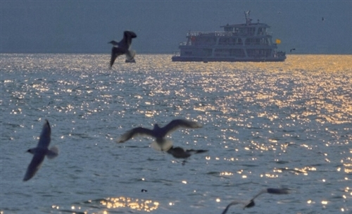 关于海边图片的文案简短(47句) 关于海边图片的文案简短(47句)