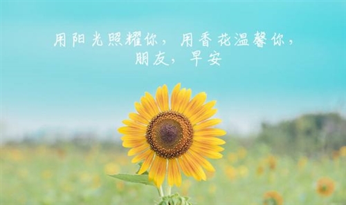 早晨的句子发朋友圈(50句)