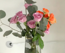 第一次插花朋友圈说说(45句)