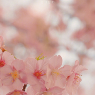 给人一种阳光的头像(精选10张)