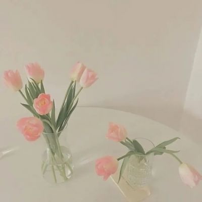 充满阳光朝气的微信头像(精选12张)