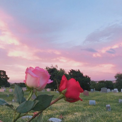 充满阳光朝气的微信头像(精选12张)