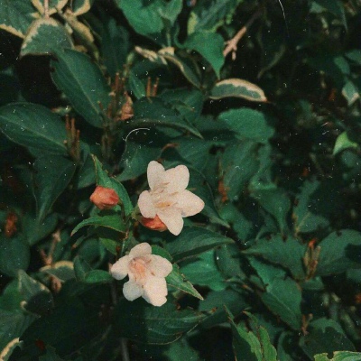 2023永久吸引人的微信头像(精选10张)