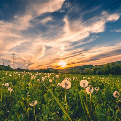 40一50岁男微信头像寓意好的(精选14张)