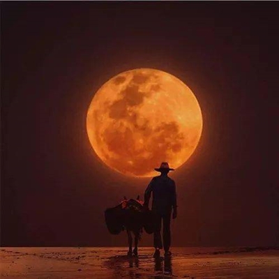 40一50岁男微信头像2023最新版