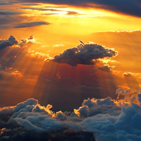 能让人心情阳光的头像(精选10张)