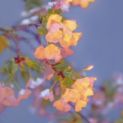 能让人心情阳光的头像(精选10张)