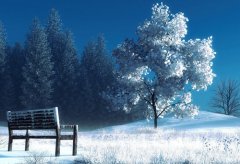 时间都去哪儿了感悟说说(精选33句)