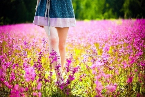 好听的网名女孩仙气可爱不易撞名(精选79个)