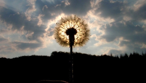 中年男士网名成熟四个字(精选71个)