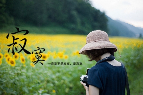 30一40岁女人微信名霸气(精选63个)