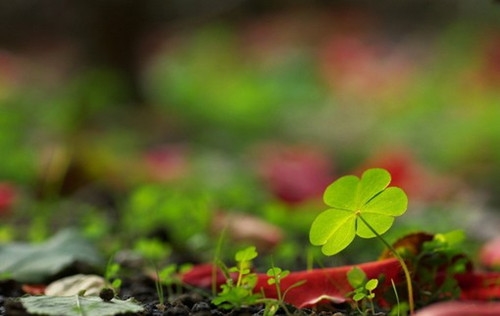 招聘人才的创意句子(精选45句) 招聘人才的创意句子(精选45句)